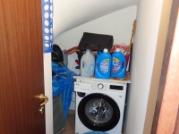 DSC03837 web