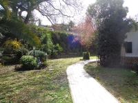 DSC03965 web