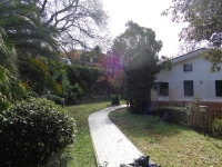 DSC03967 web