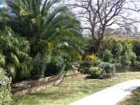 DSC03966 web