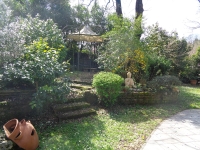 DSC03976 web